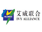 现场图片