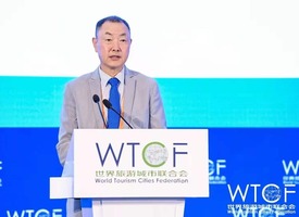 联合国人居署中国项目主任张振山在论坛上发言