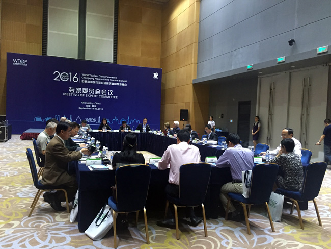 专家委员会会议在峰会期间举办