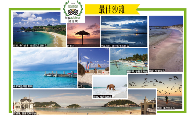 专访TripAdvisor中国首席运营官潘浩栋