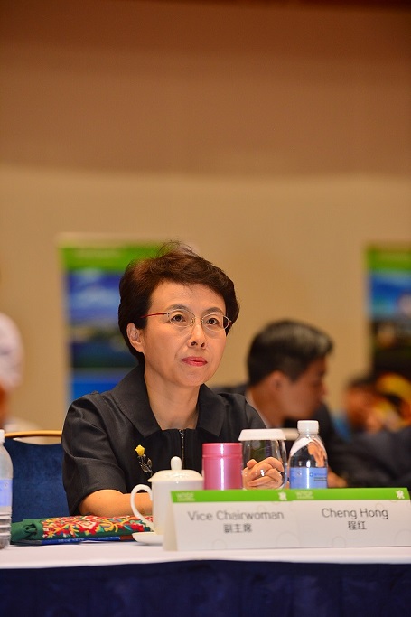 【Summit Senior Figures Interview】Interview with Cheng Hong, Executive Deputy Chairperson of the WTCF Council and Vice Mayor of Beijing 【Summit Senior Figures Interview】Interview with Cheng Hong, Executive Deputy Chairperson of the WTCF Council and Vice Mayor of Beijing